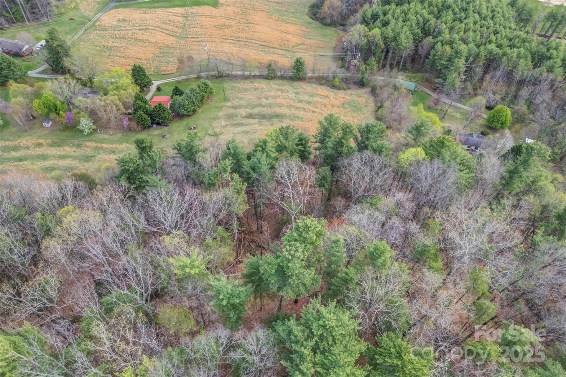 000 Union Hill Road - Photo 7