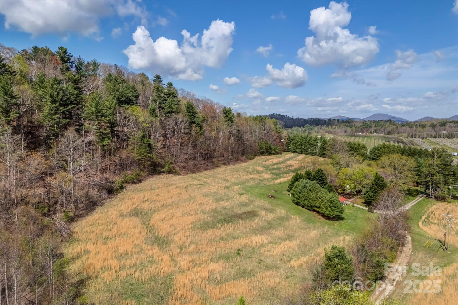 000 Union Hill Road - Photo 10