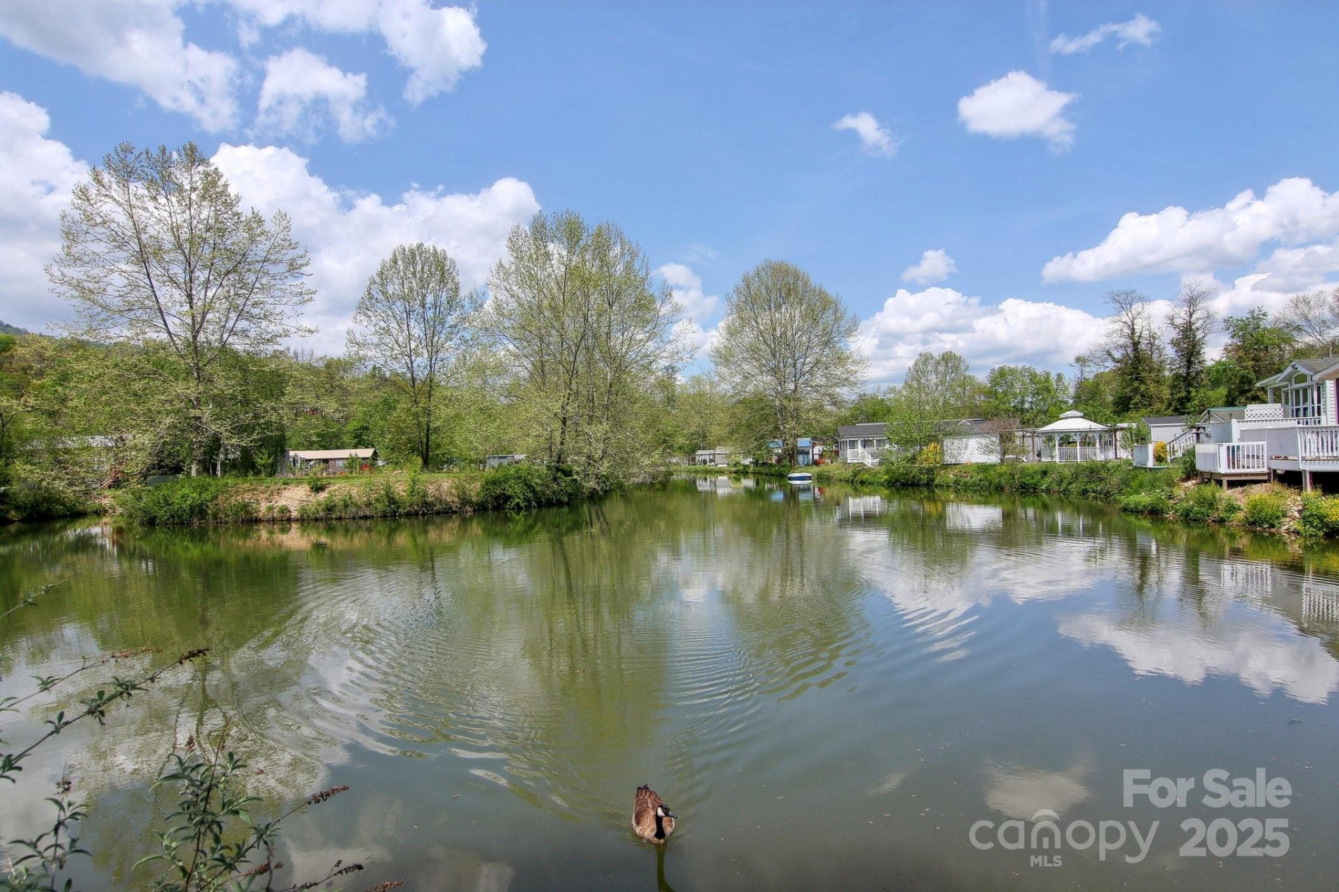 222 Pike Point - Photo 4