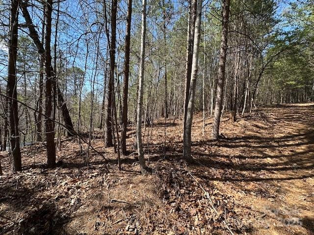 0 Hawthorne Drive #1,17,18 - Photo 2