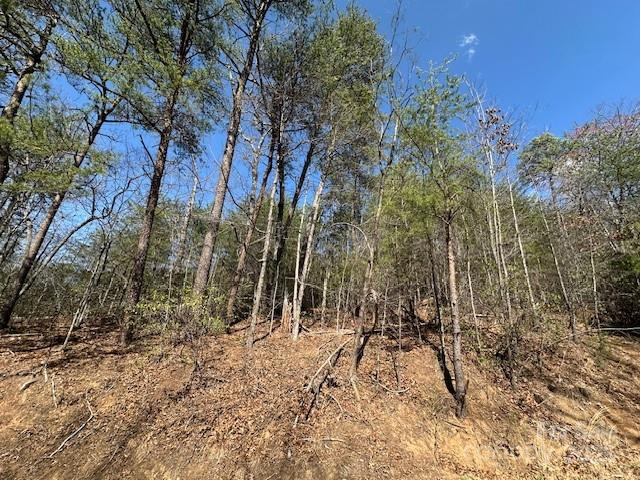 0 Hawthorne Drive #1,17,18 - Photo 11