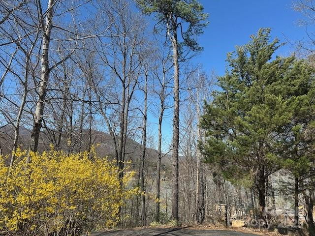 0 Hawthorne Drive #1,17,18 - Photo 13