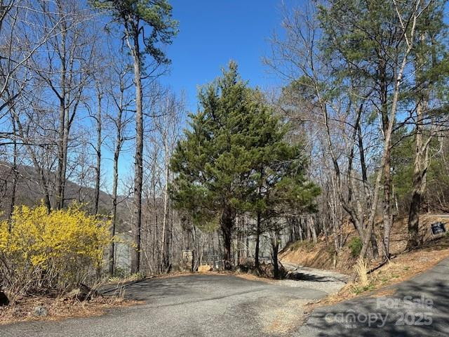 0 Hawthorne Drive #1,17,18 - Photo 15