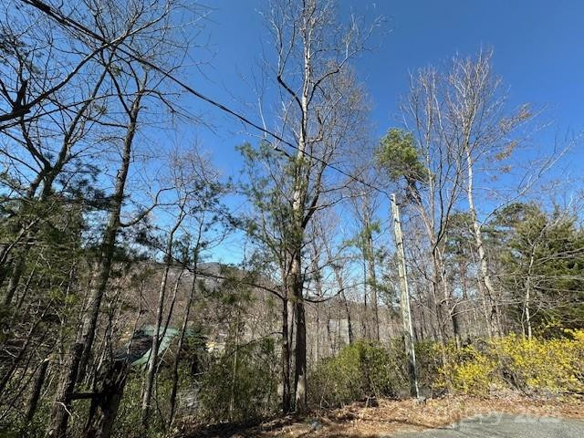 0 Hawthorne Drive #1,17,18 - Photo 16