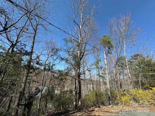0 Hawthorne Drive #1,17,18 - Photo 16