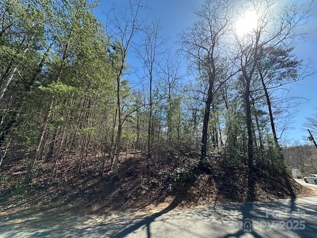 0 Hawthorne Drive #1,17,18 - Photo 17