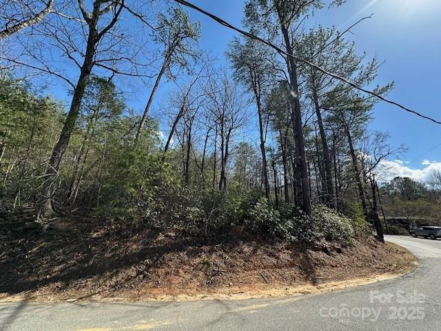 0 Hawthorne Drive #1,17,18 - Photo 18