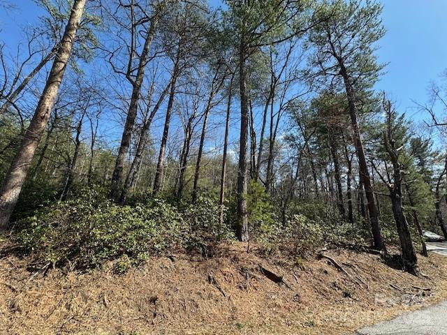 0 Hawthorne Drive #1,17,18 - Photo 19