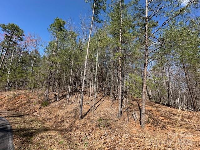 0 Hawthorne Drive #1,17,18 - Photo 3