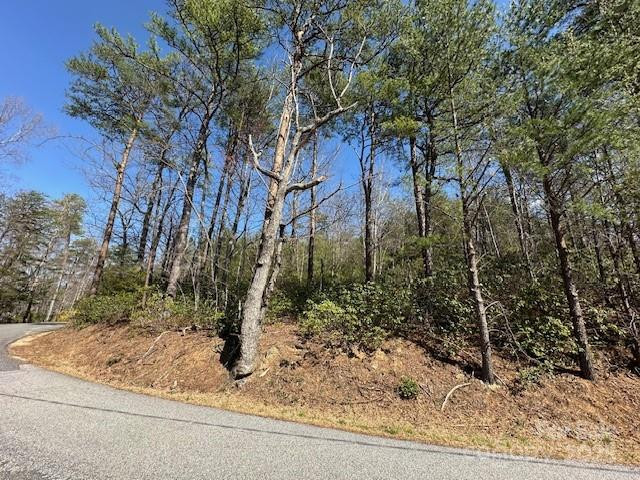 0 Hawthorne Drive #1,17,18 - Photo 21