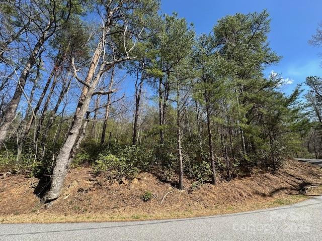 0 Hawthorne Drive #1,17,18 - Photo 22