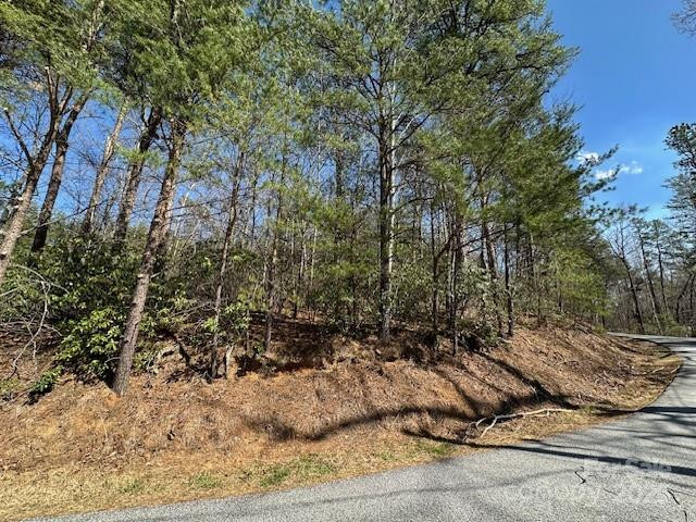 0 Hawthorne Drive #1,17,18 - Photo 23