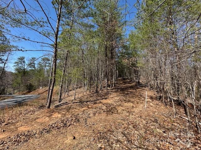 0 Hawthorne Drive #1,17,18 - Photo 4