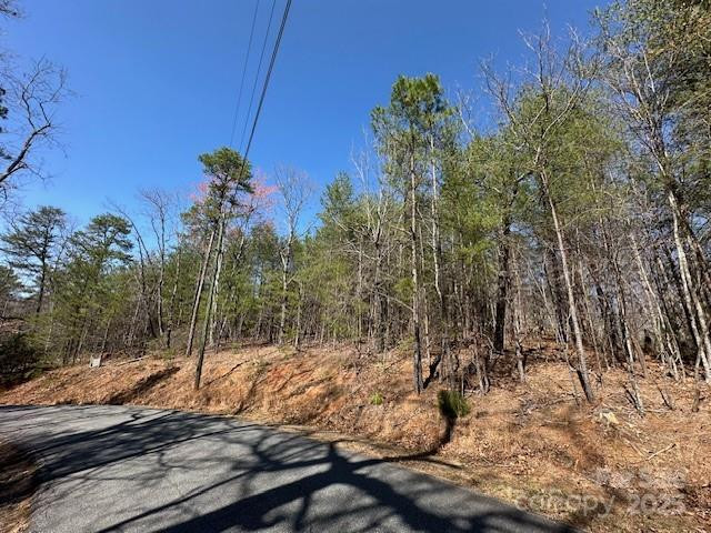 0 Hawthorne Drive #1,17,18 - Photo 5