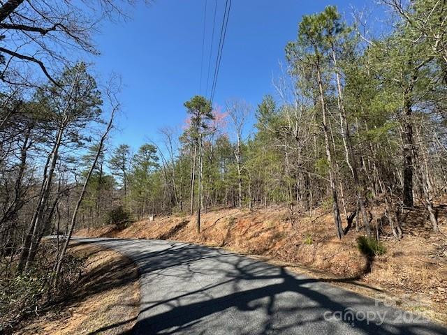 0 Hawthorne Drive #1,17,18 - Photo 6