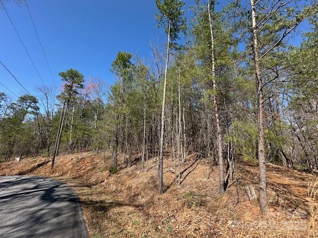 0 Hawthorne Drive #1,17,18 - Photo 7