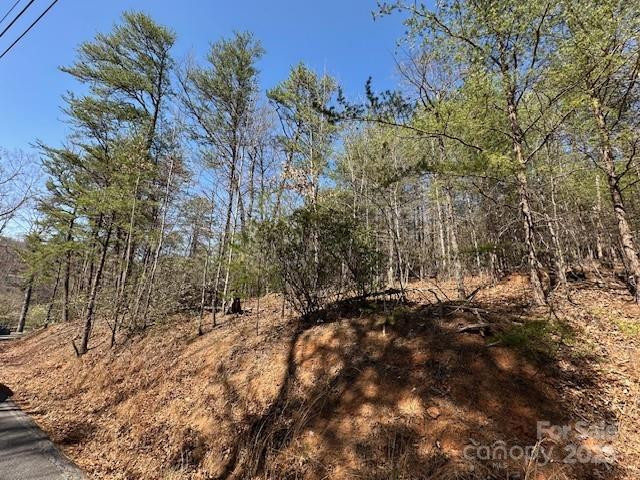 0 Hawthorne Drive #1,17,18 - Photo 9