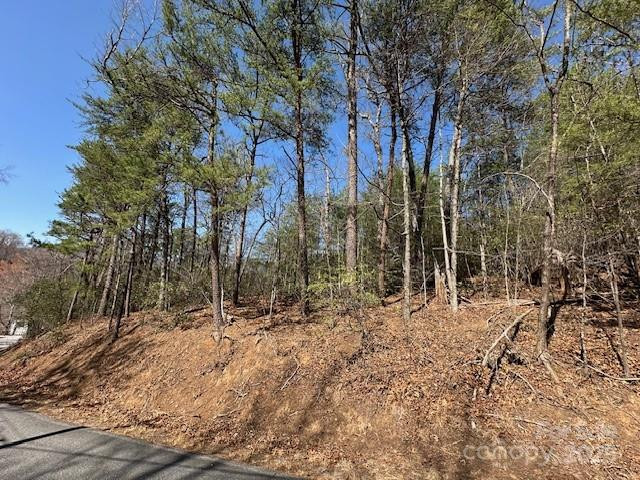 0 Hawthorne Drive #1,17,18 - Photo 10