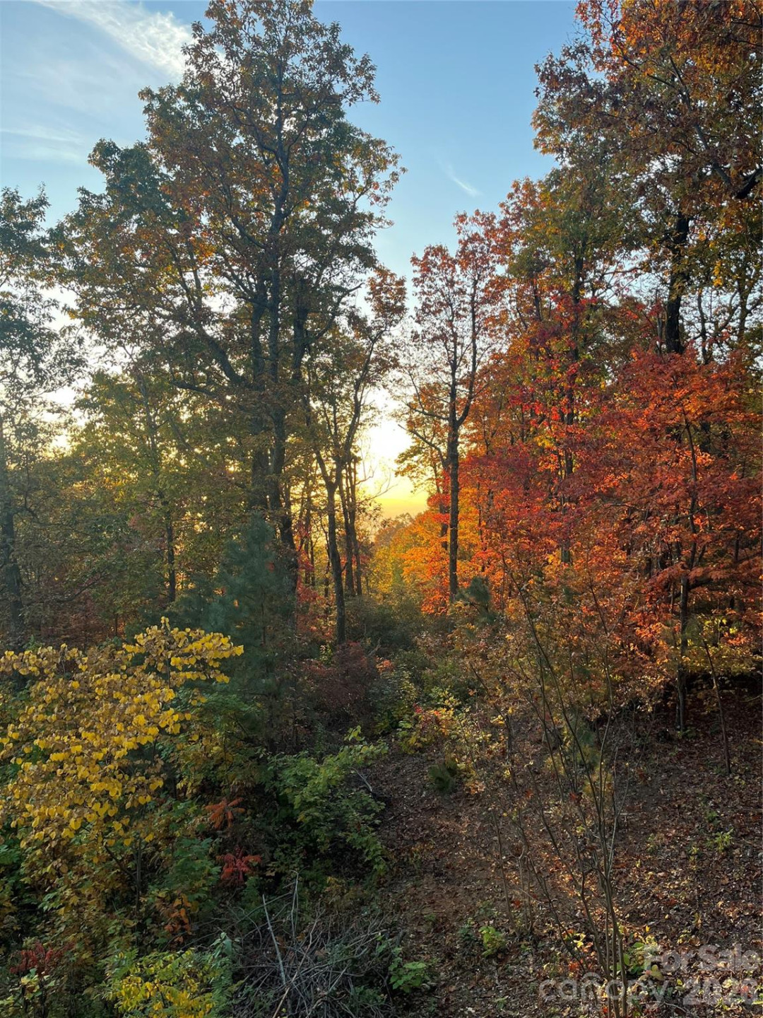 2329 Pinnacle Parkway - Photo 10