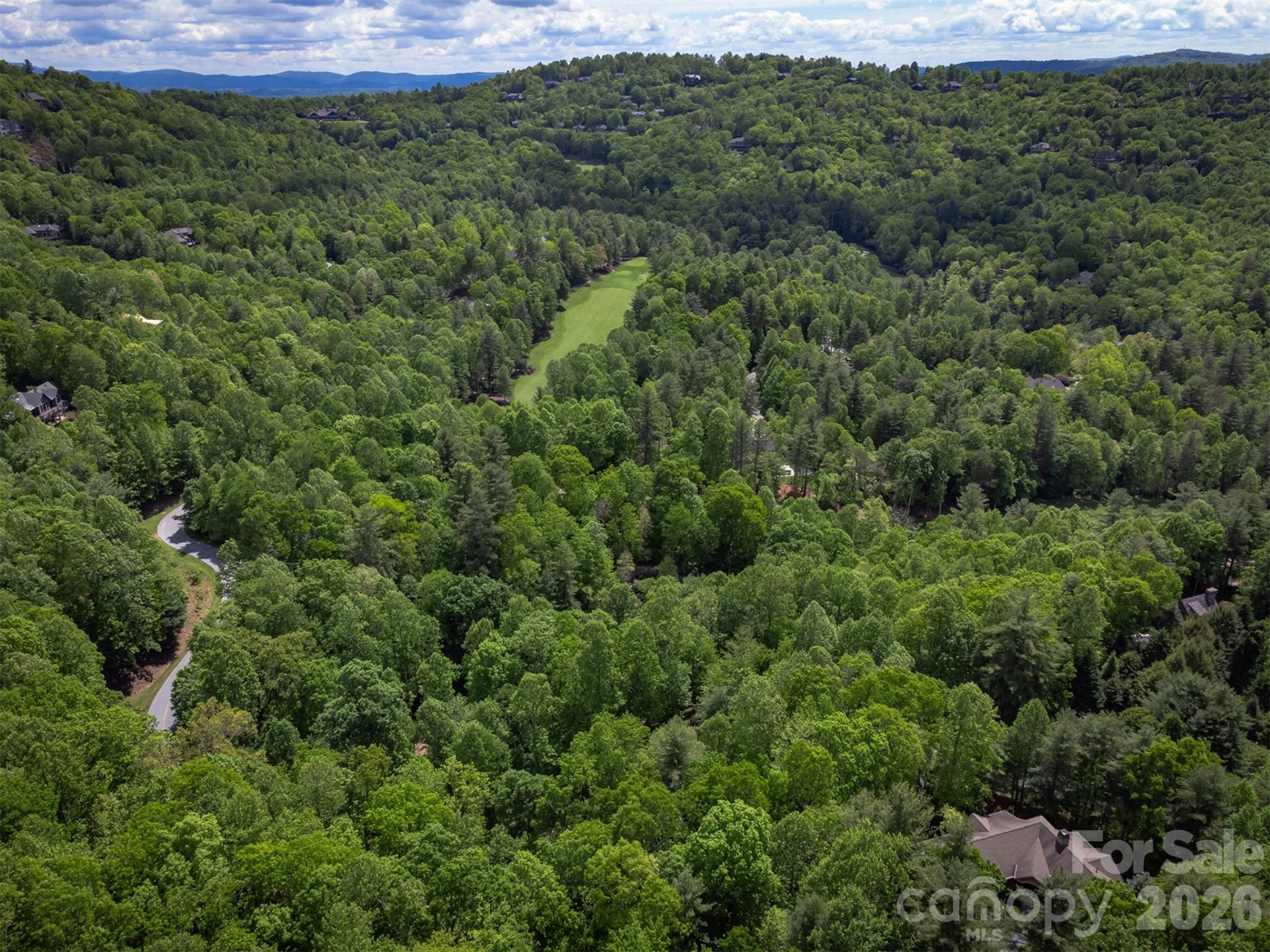 168 Chattooga Run - Photo 85