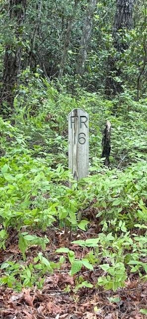 FR 16 Opossum Path #FR 16 - Photo 2