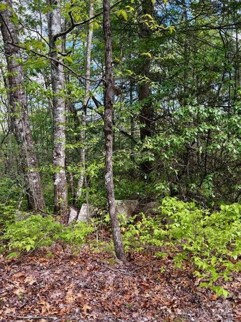 FR 16 Opossum Path #FR 16 - Photo 11