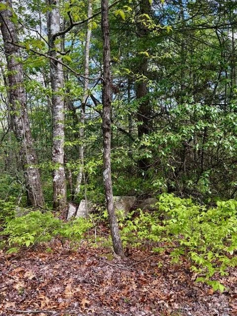 FR 16 Opossum Path #FR 16 - Photo 11