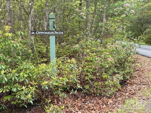 FR 16 Opossum Path #FR 16 - Photo 12