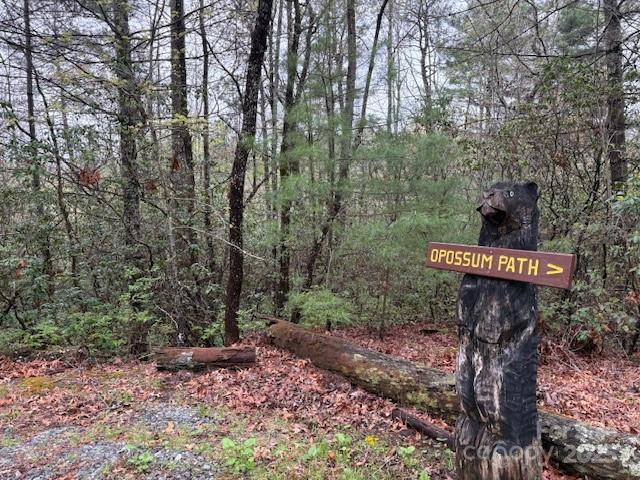 FR 16 Opossum Path #FR 16 - Photo 13