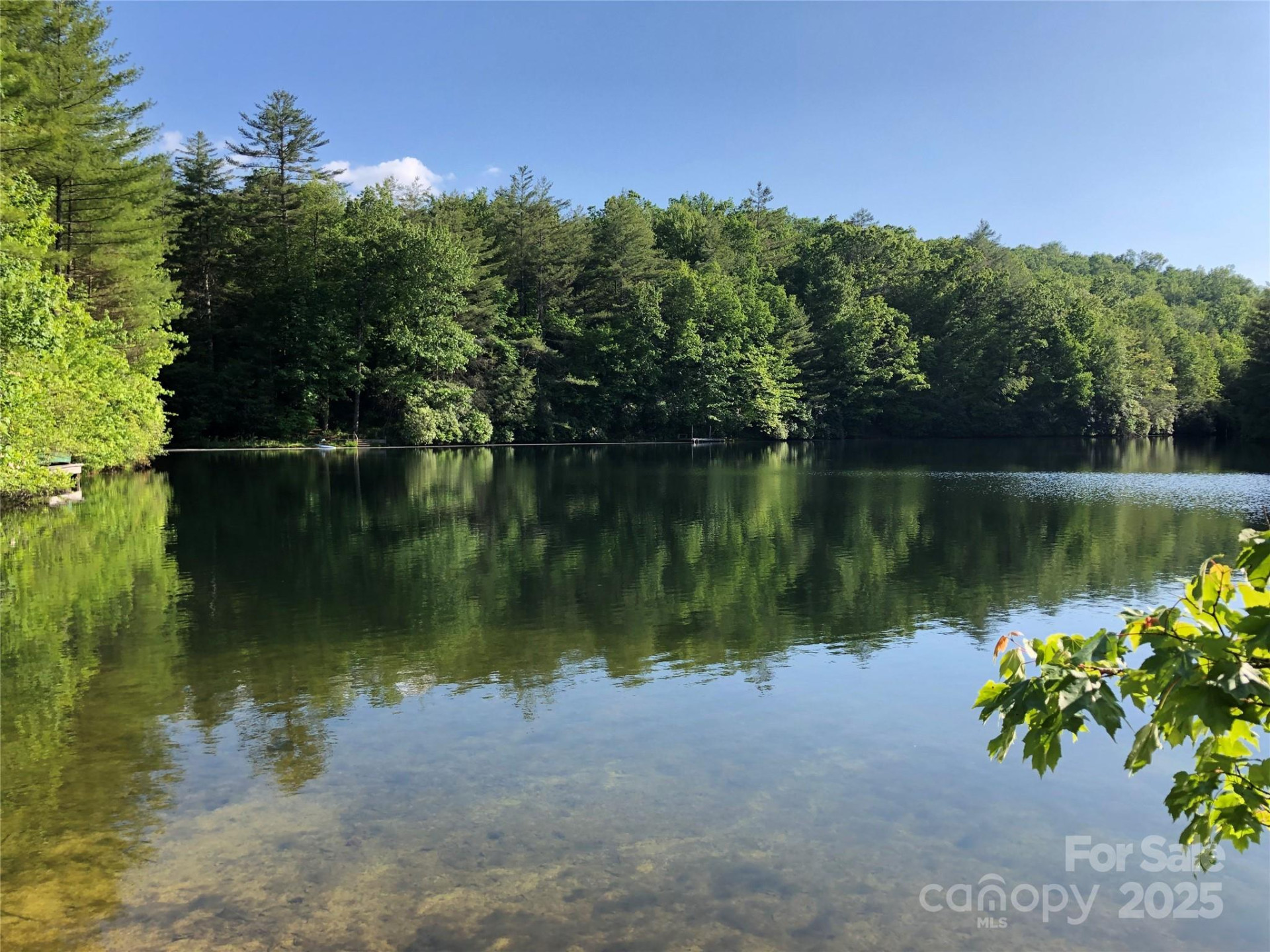 FR 16 Opossum Path #FR 16 - Photo 17