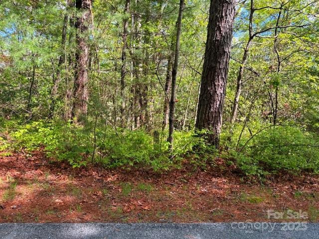 FR 16 Opossum Path #FR 16 - Photo 6