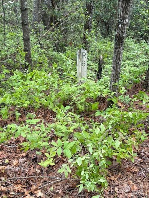 FR 16 Opossum Path #FR 16 - Photo 7