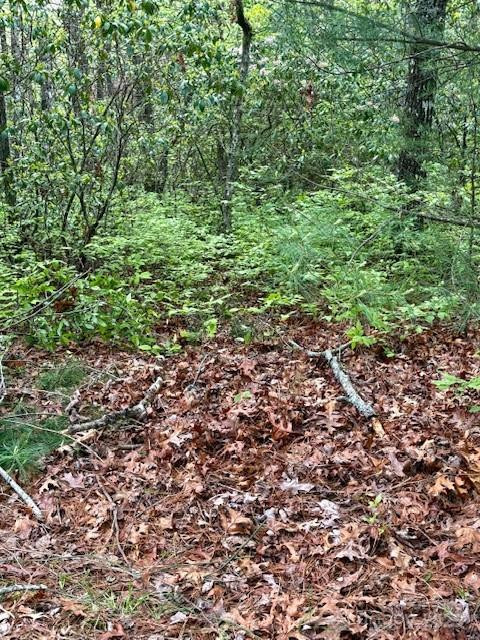 FR 16 Opossum Path #FR 16 - Photo 9