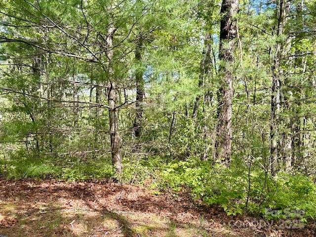 FR 16 Opossum Path #FR 16 - Photo 10