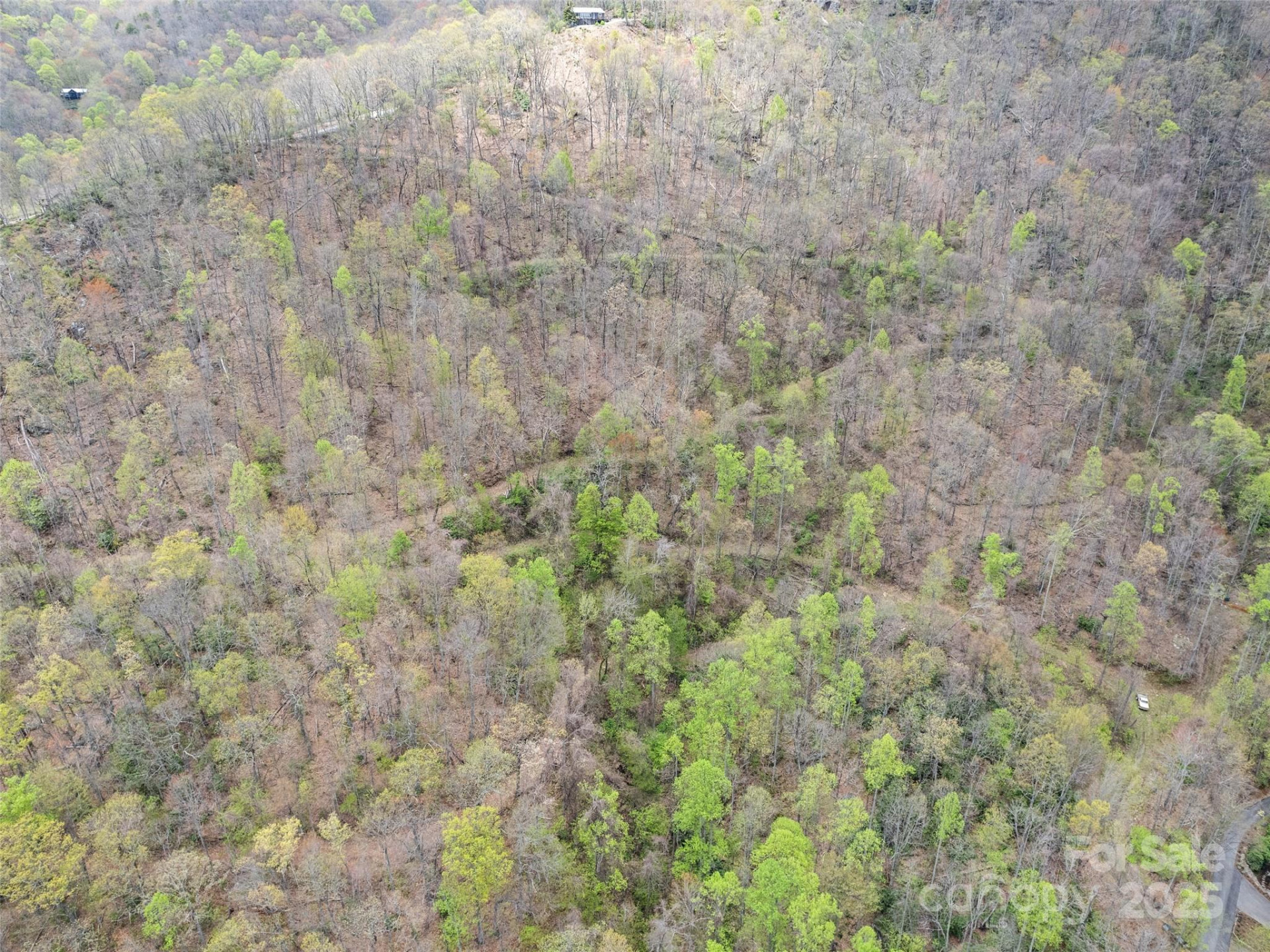 TBD Laurel Ridge Drive - Photo 11