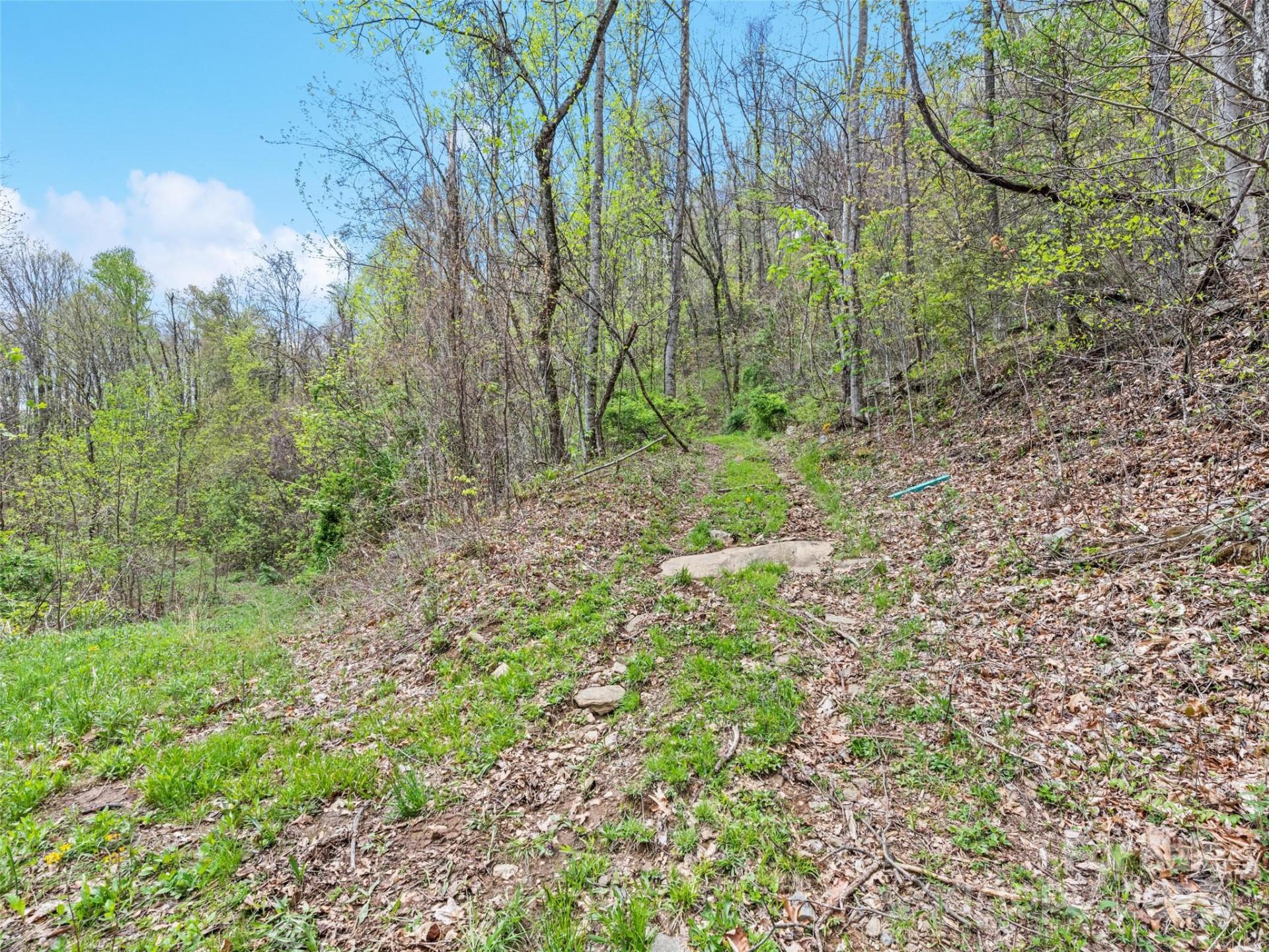 TBD Laurel Ridge Drive - Photo 13