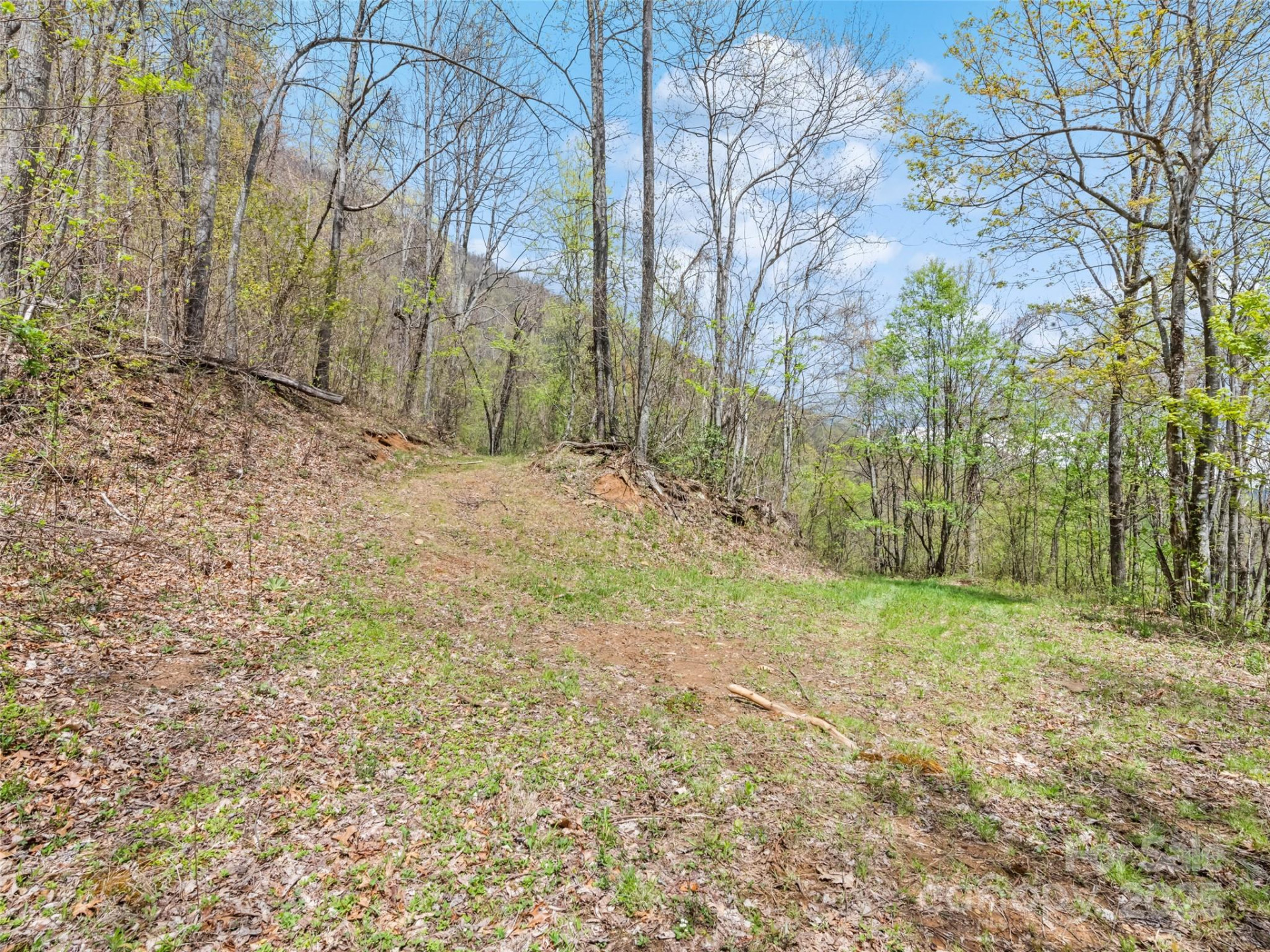 TBD Laurel Ridge Drive - Photo 14