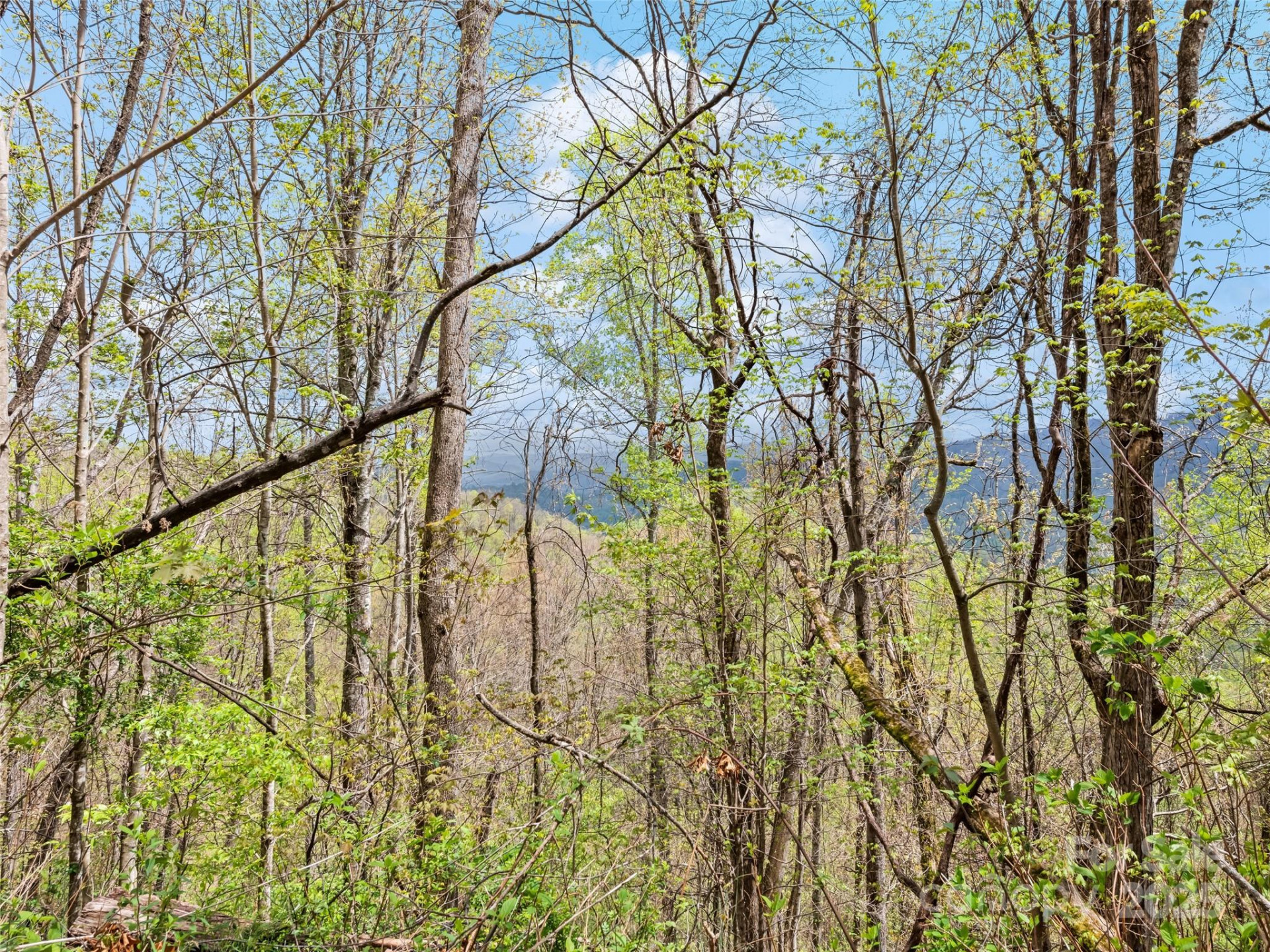 TBD Laurel Ridge Drive - Photo 15