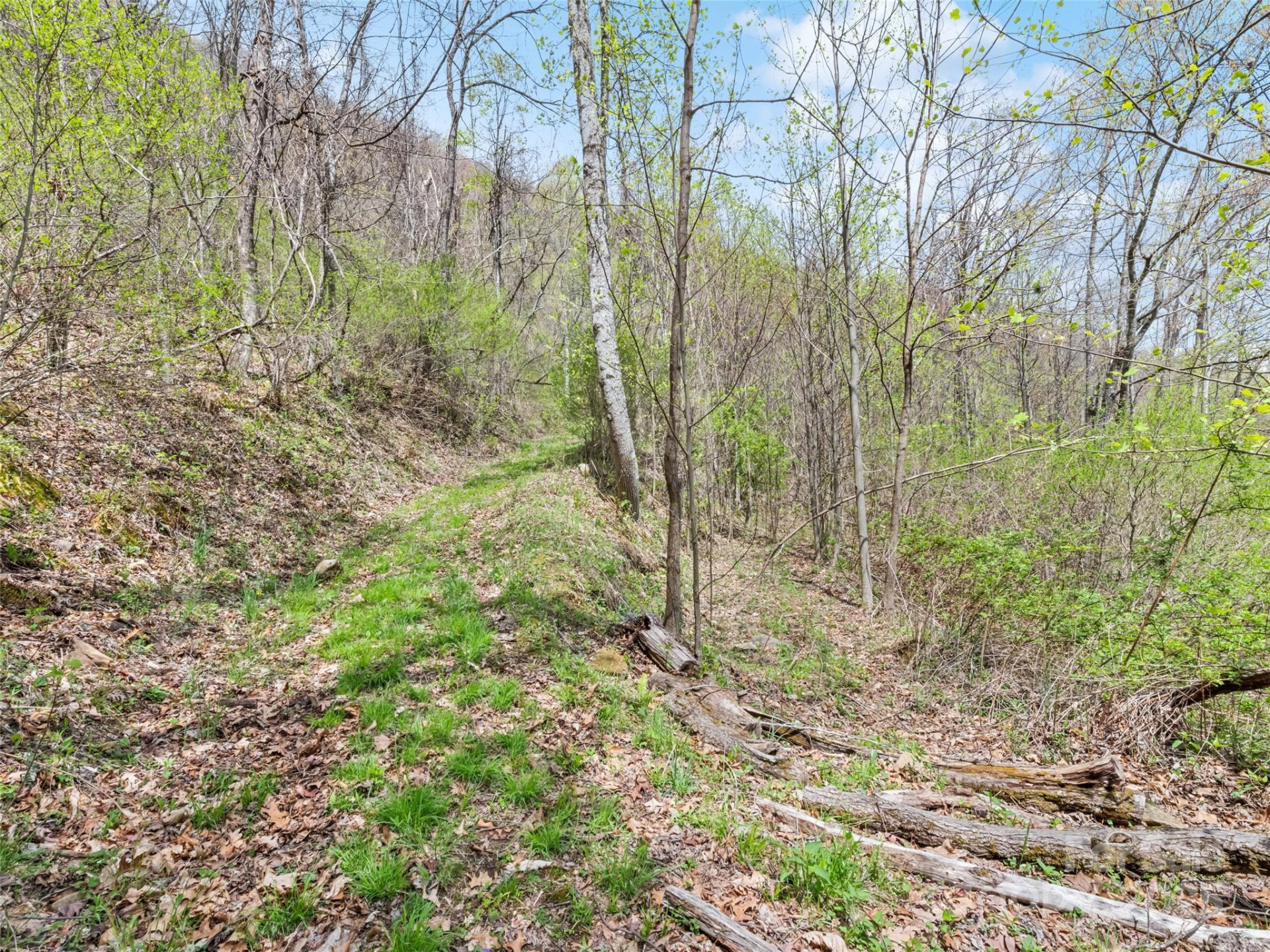 TBD Laurel Ridge Drive - Photo 16