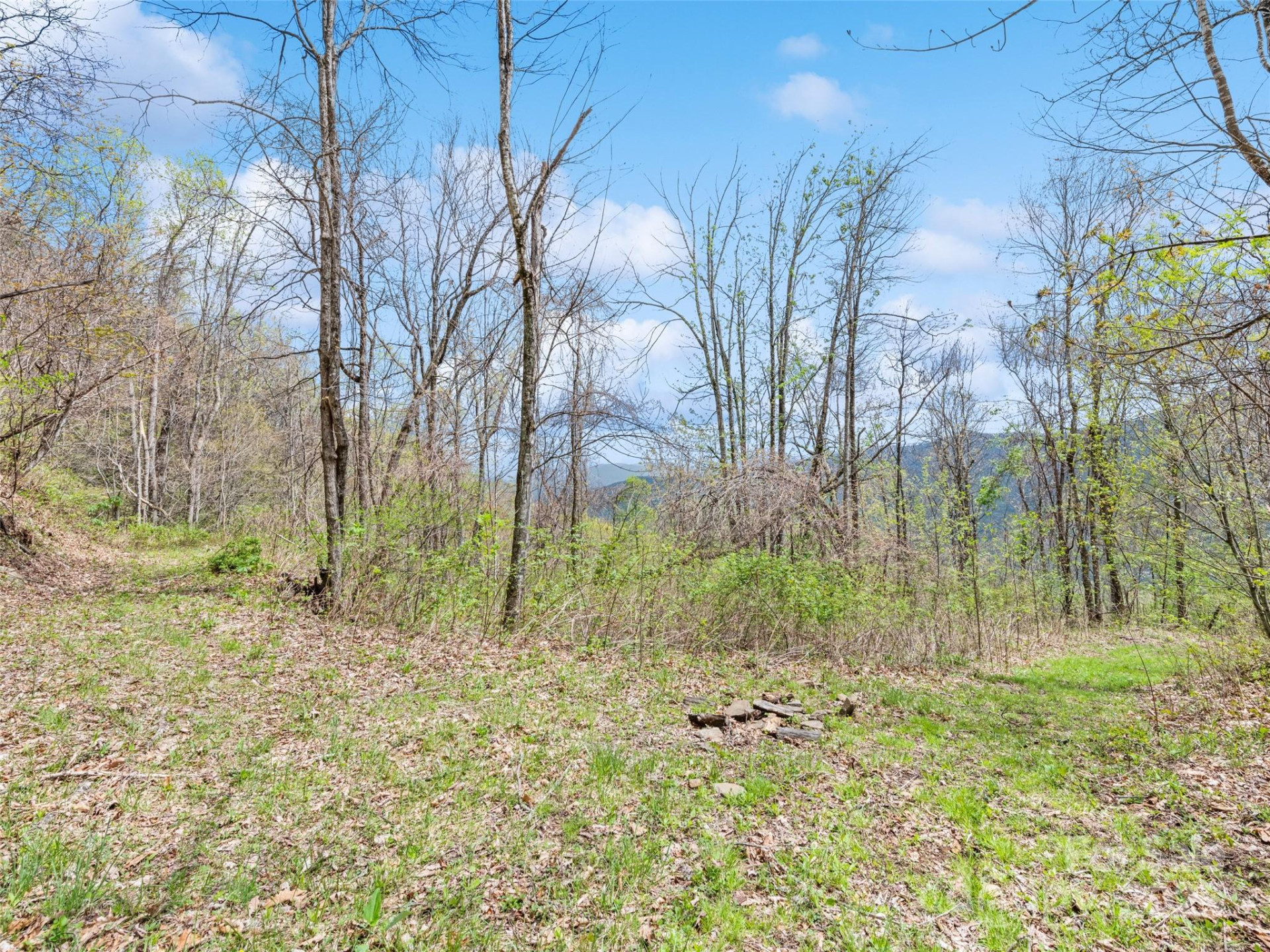 TBD Laurel Ridge Drive - Photo 17