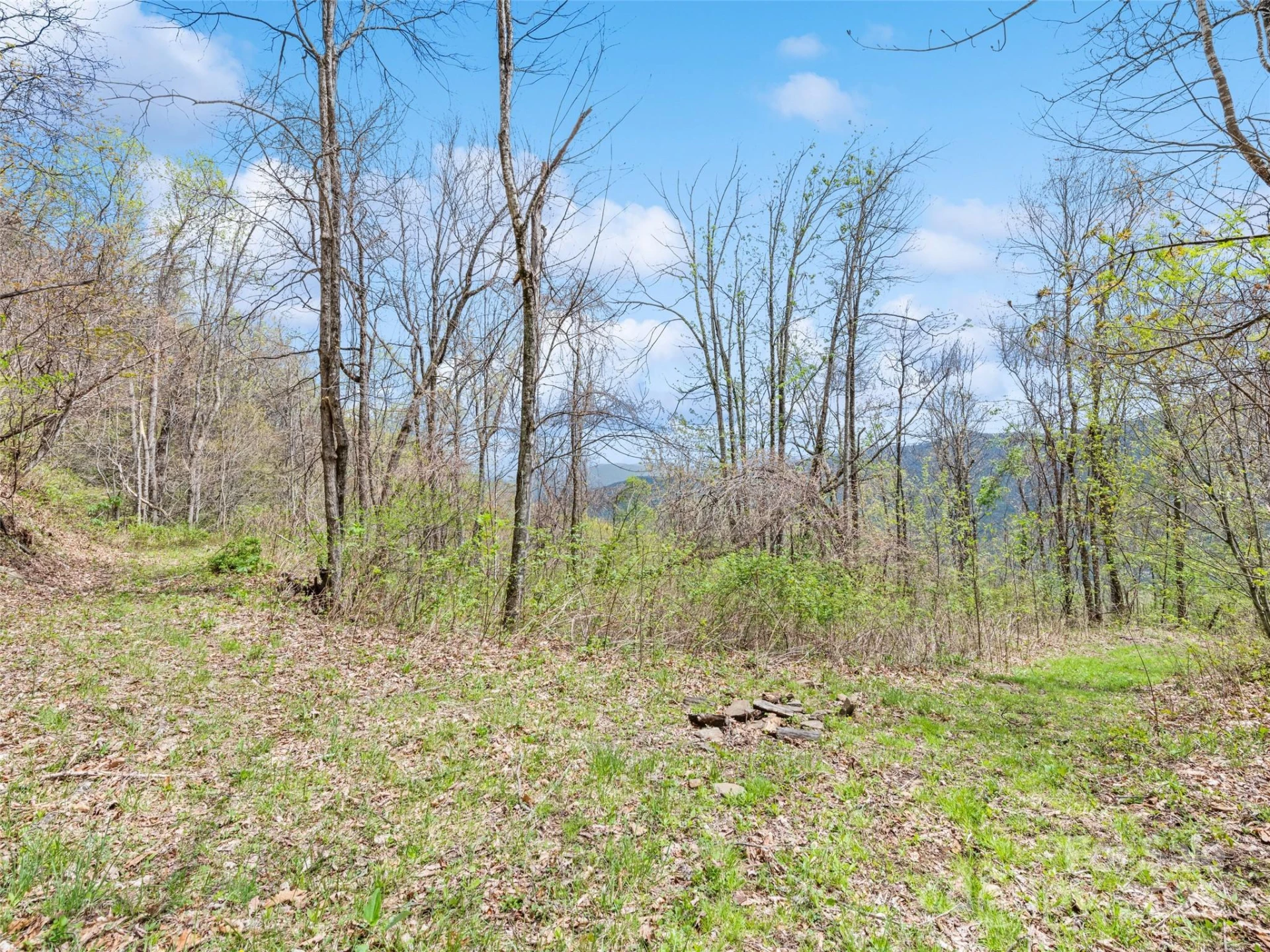 TBD Laurel Ridge Drive - Photo 17