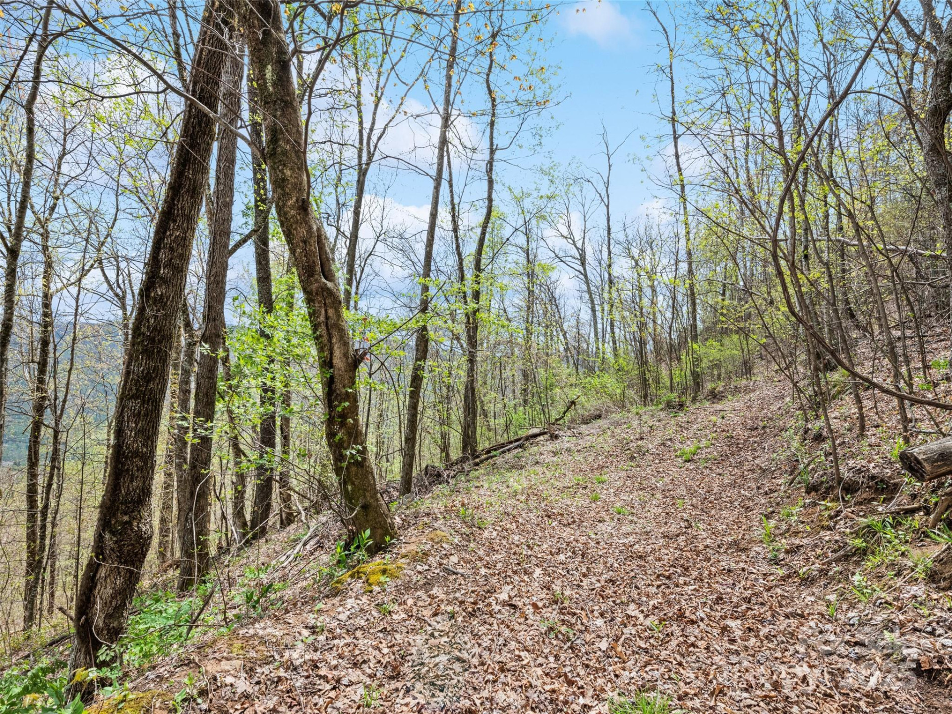 TBD Laurel Ridge Drive - Photo 19