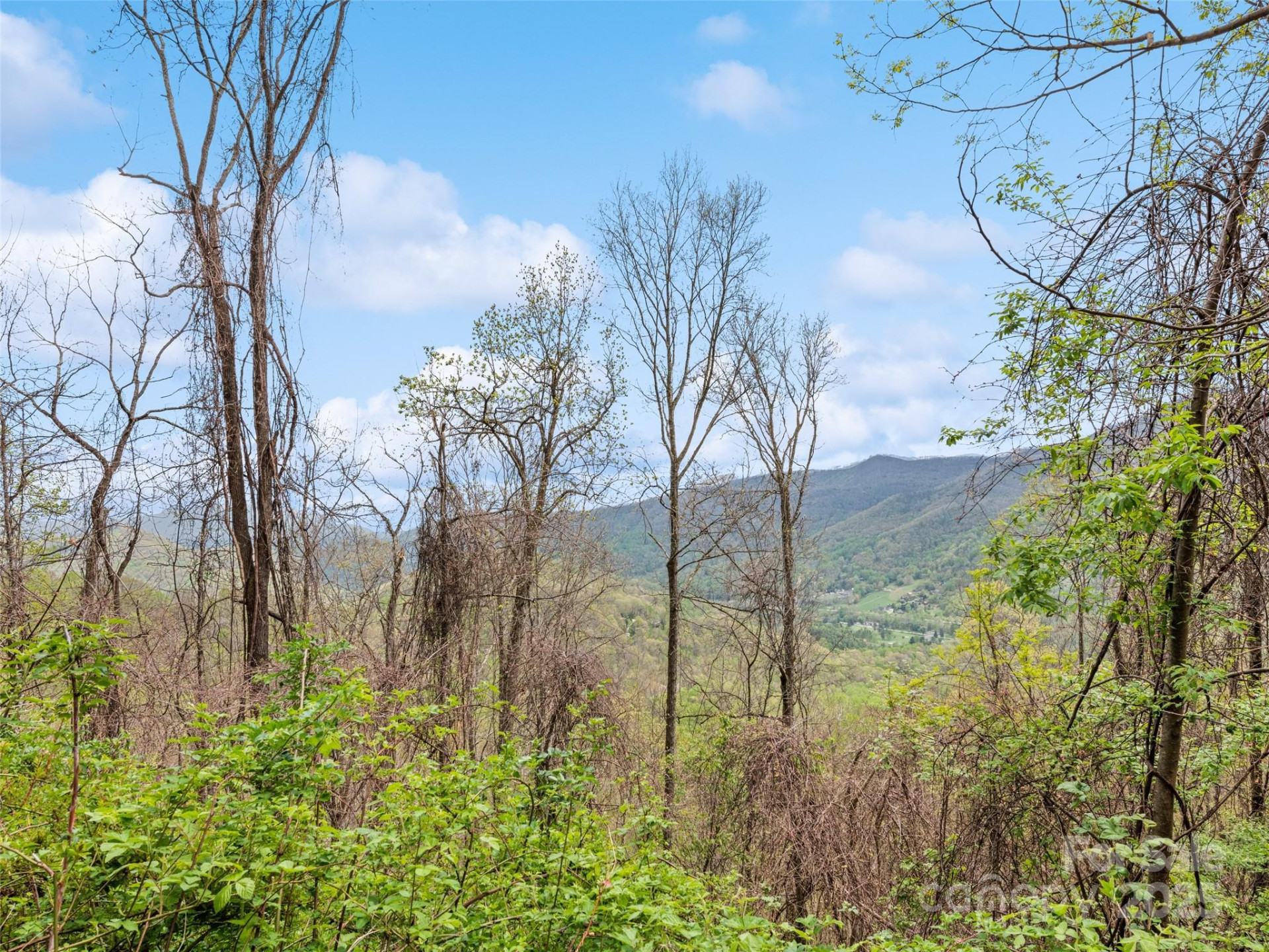 TBD Laurel Ridge Drive - Photo 20