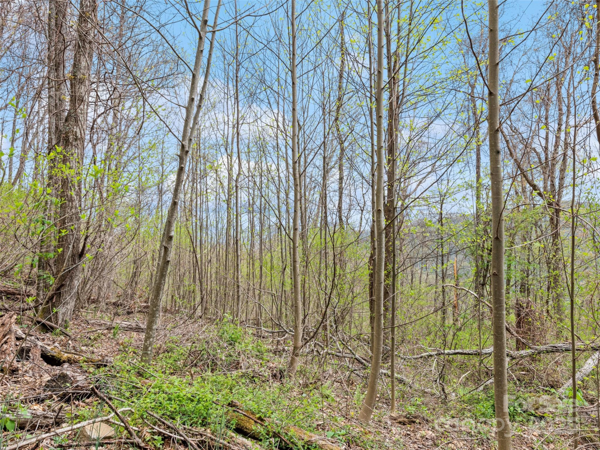 TBD Laurel Ridge Drive - Photo 21