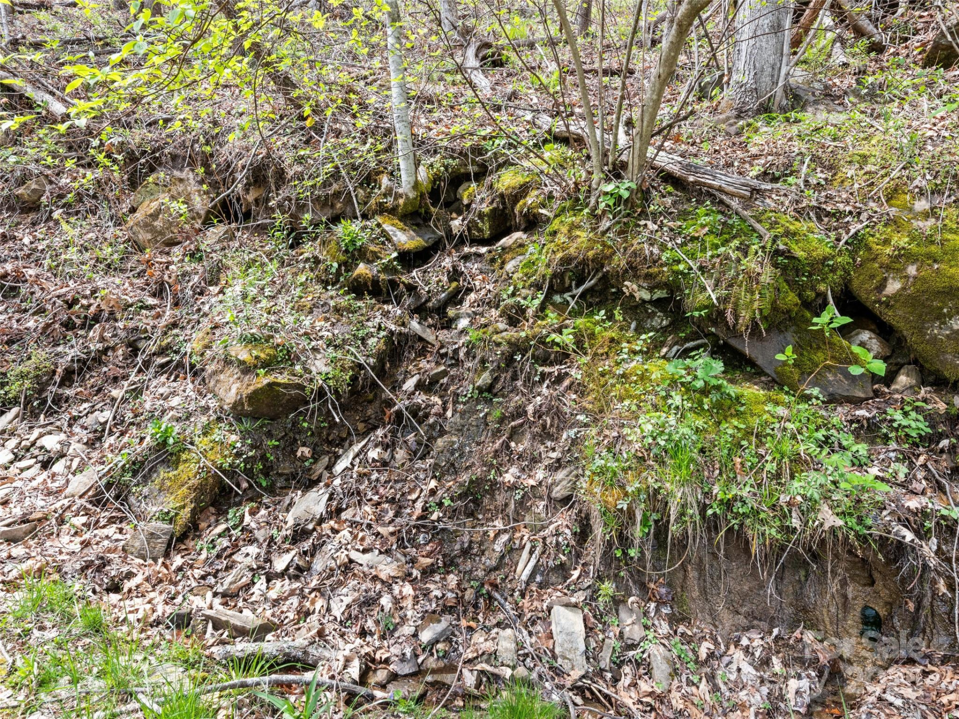 TBD Laurel Ridge Drive - Photo 4