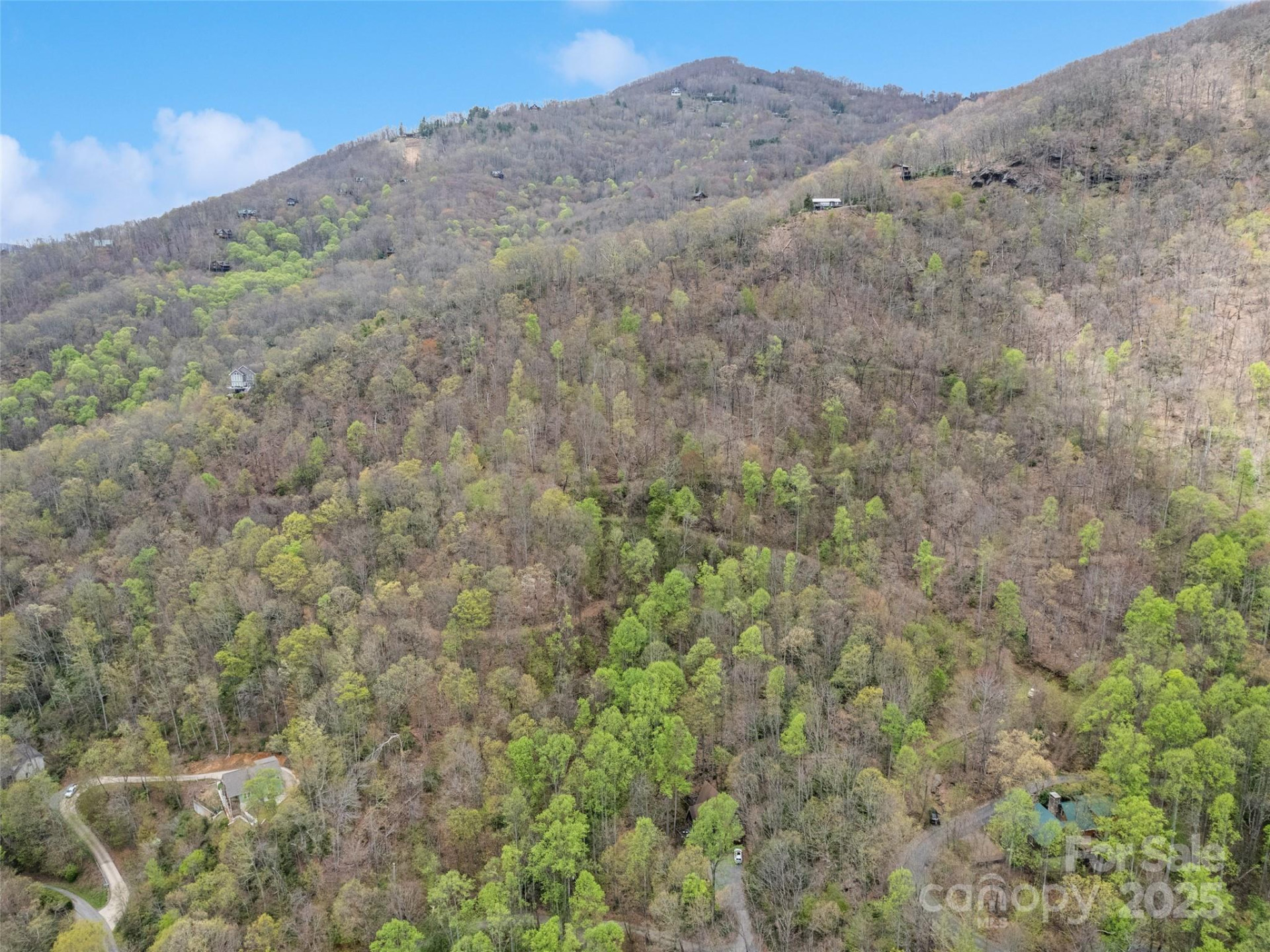 TBD Laurel Ridge Drive - Photo 6