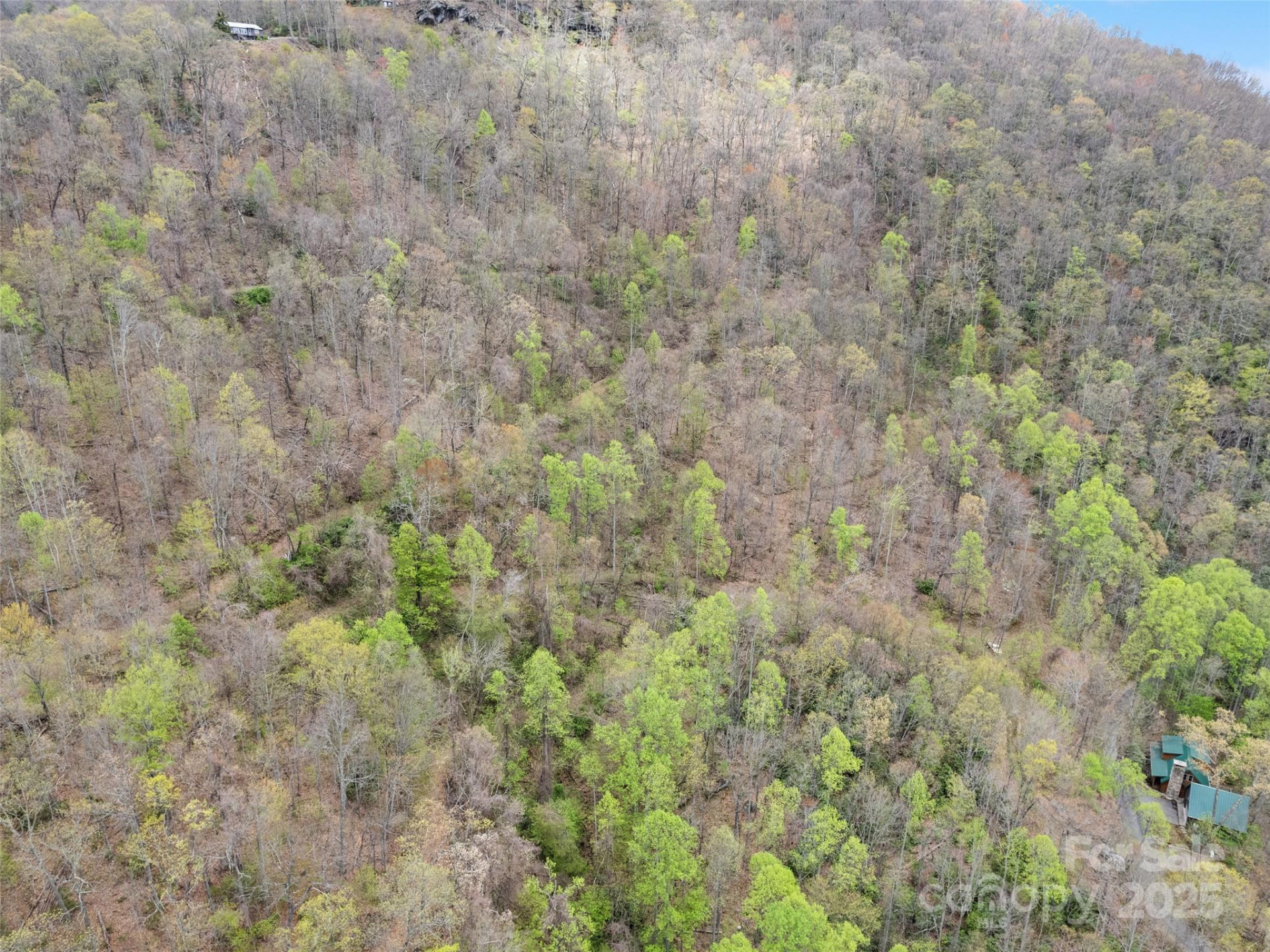 TBD Laurel Ridge Drive - Photo 7