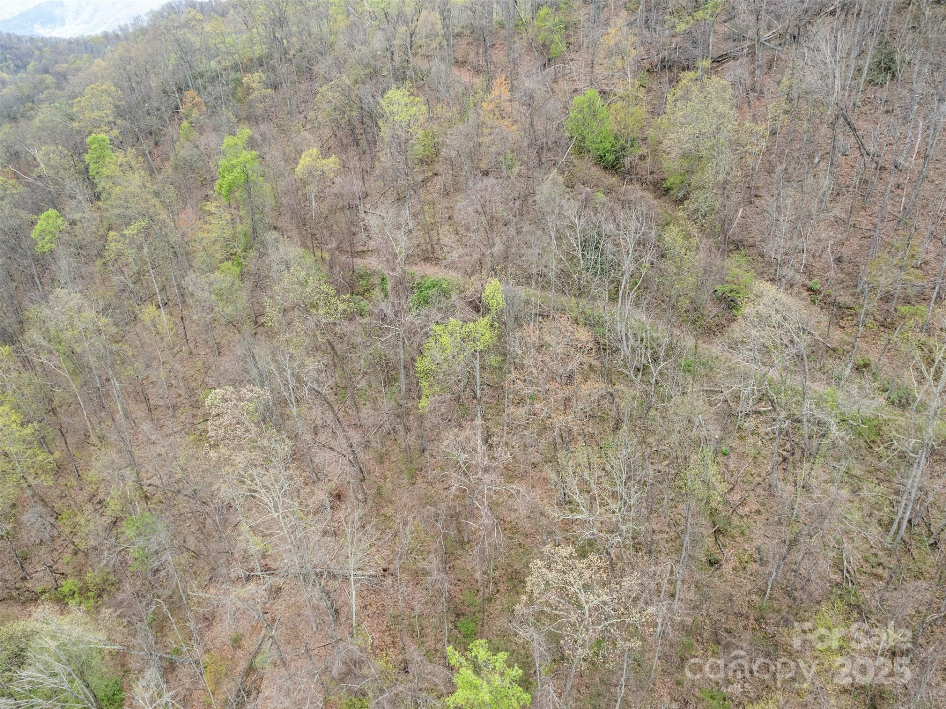 TBD Laurel Ridge Drive - Photo 8