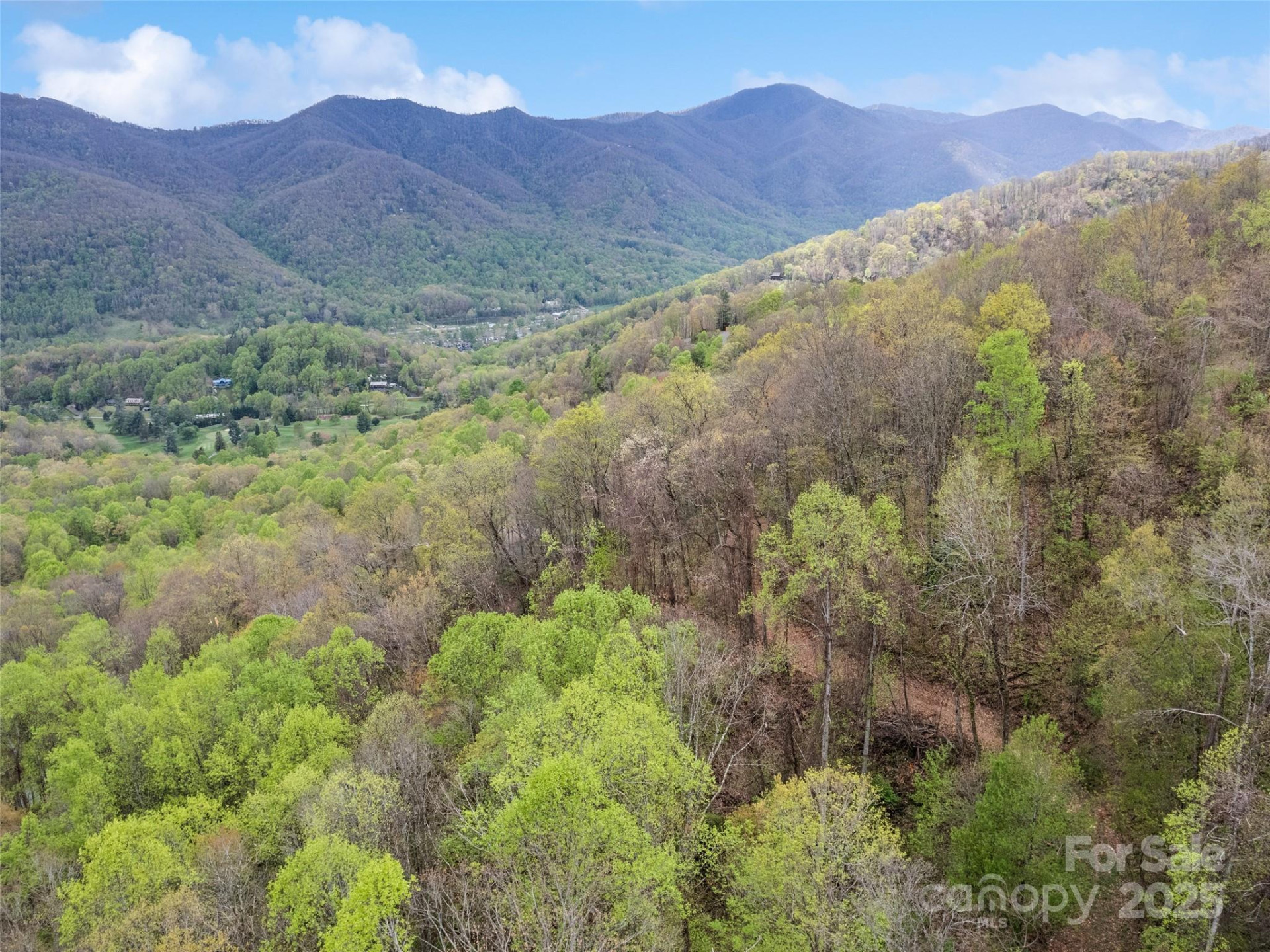 TBD Laurel Ridge Drive - Photo 10