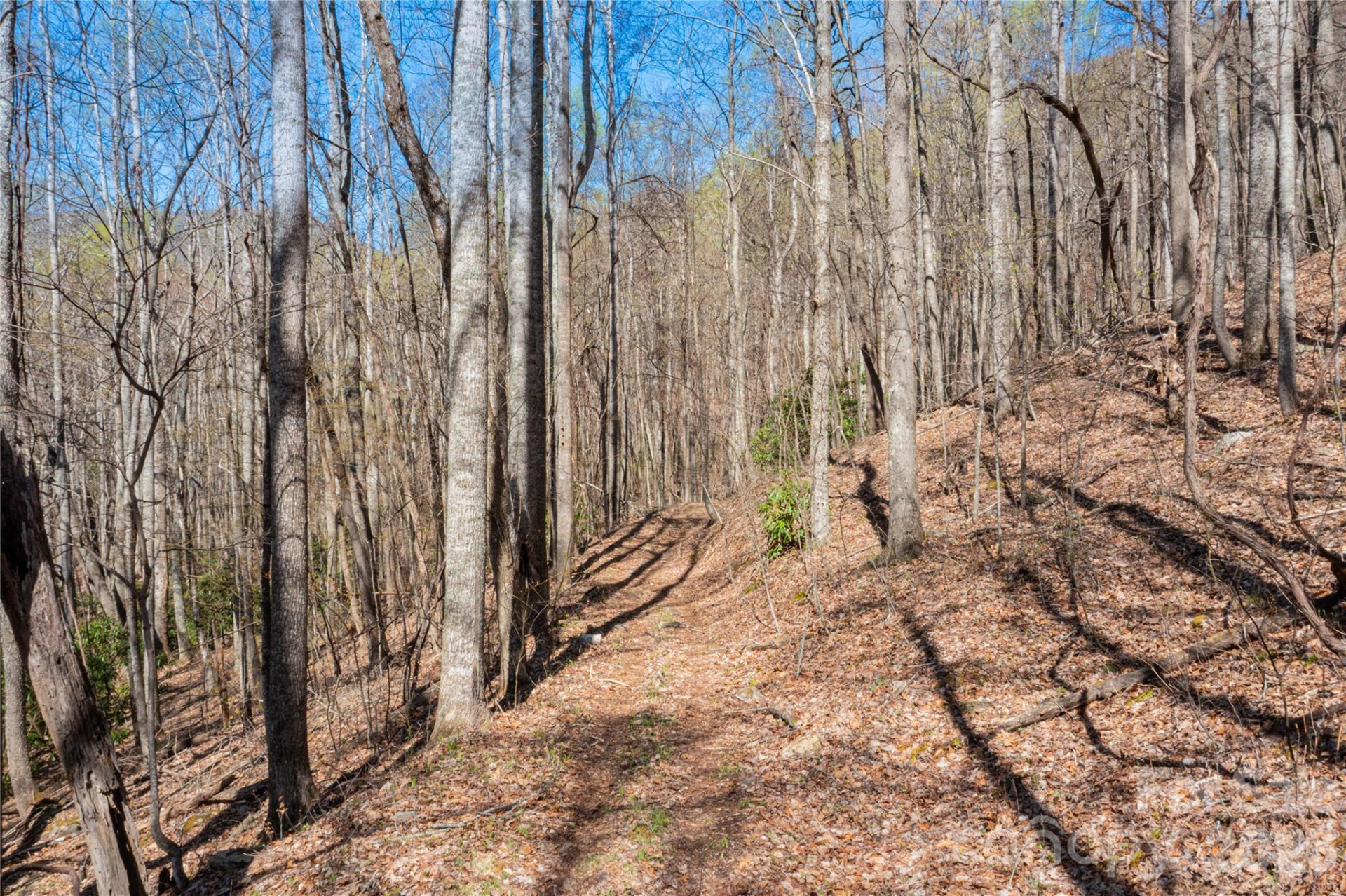 28 & 29 Spruce Chase Lane - Photo 5